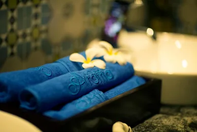 Alagon City Hotel & Spa – Ảnh 2